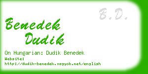 benedek dudik business card